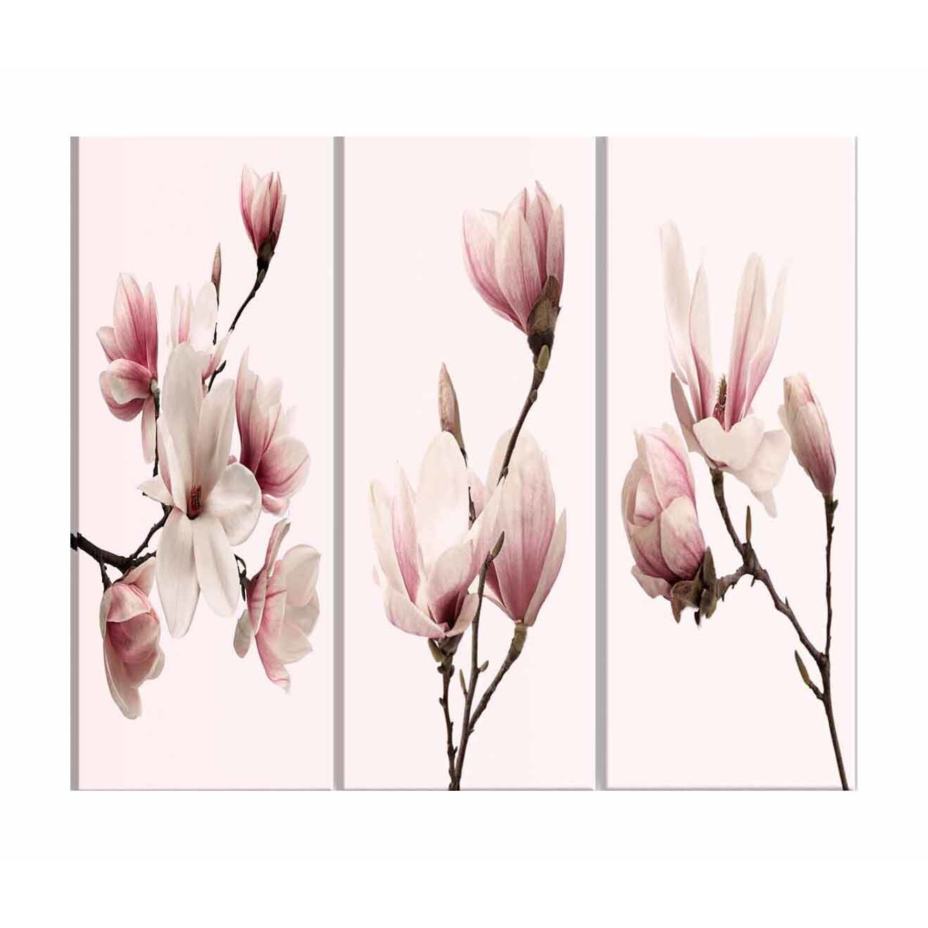 Tablou Artgeist, Spring Magnolias (3 Parts), 60 x 30 cm
