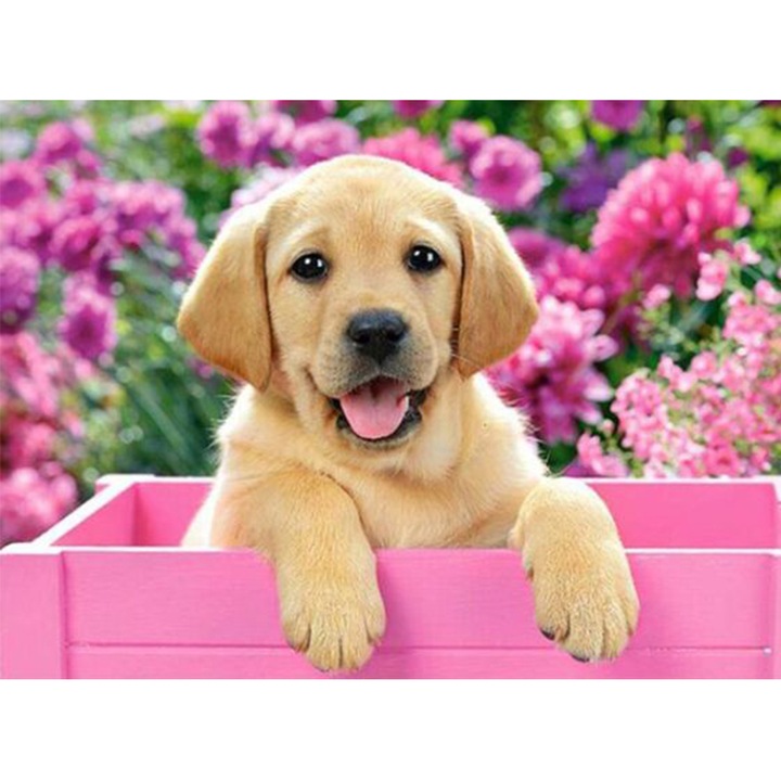 DIY 5D kerek gyémánt gobelin kreatív készlet, Labrador Junior modell, 30 x 40 cm, többszínű