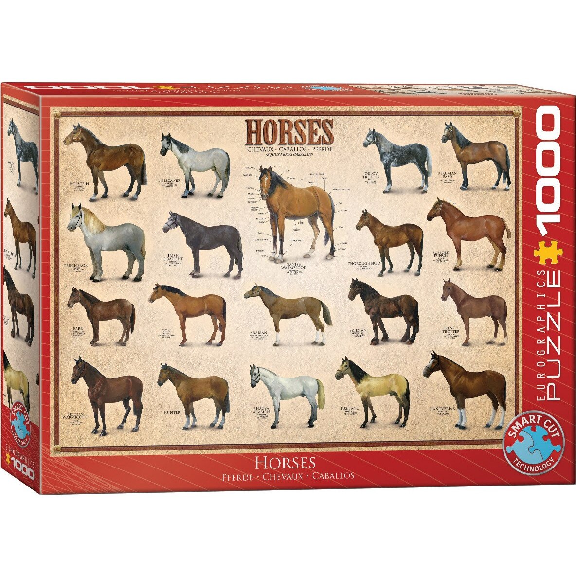 Puzzle Eurographics - Horses, 1.000 piese (6000-0078)