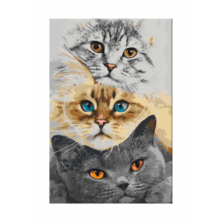 Pictura pe numere Artgeist, Cat's Trio, 40 x 60 cm