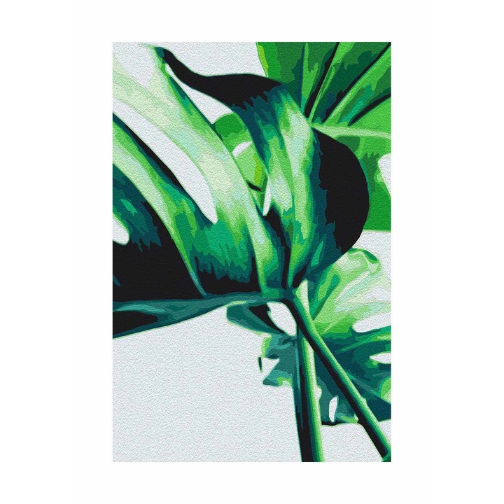 Kifestő Artgeist, Monstera Adansonii, 40 x 60 cm