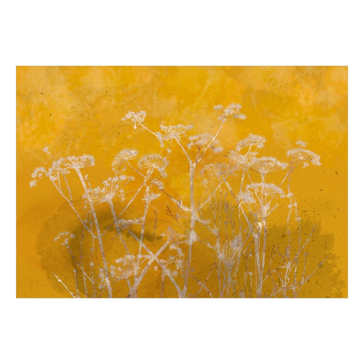 Artgeist nem szőtt tapéta, Meadow Bated in the Sun, 200 x 140 cm