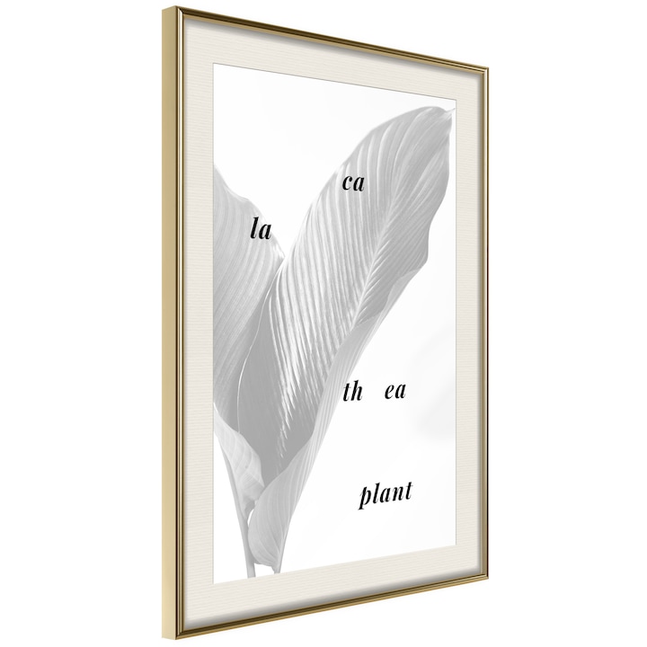Plakát Artgeist, Calathea Leaves passe-partout, Arany keret passe-partout-val, 30 x 45 cm