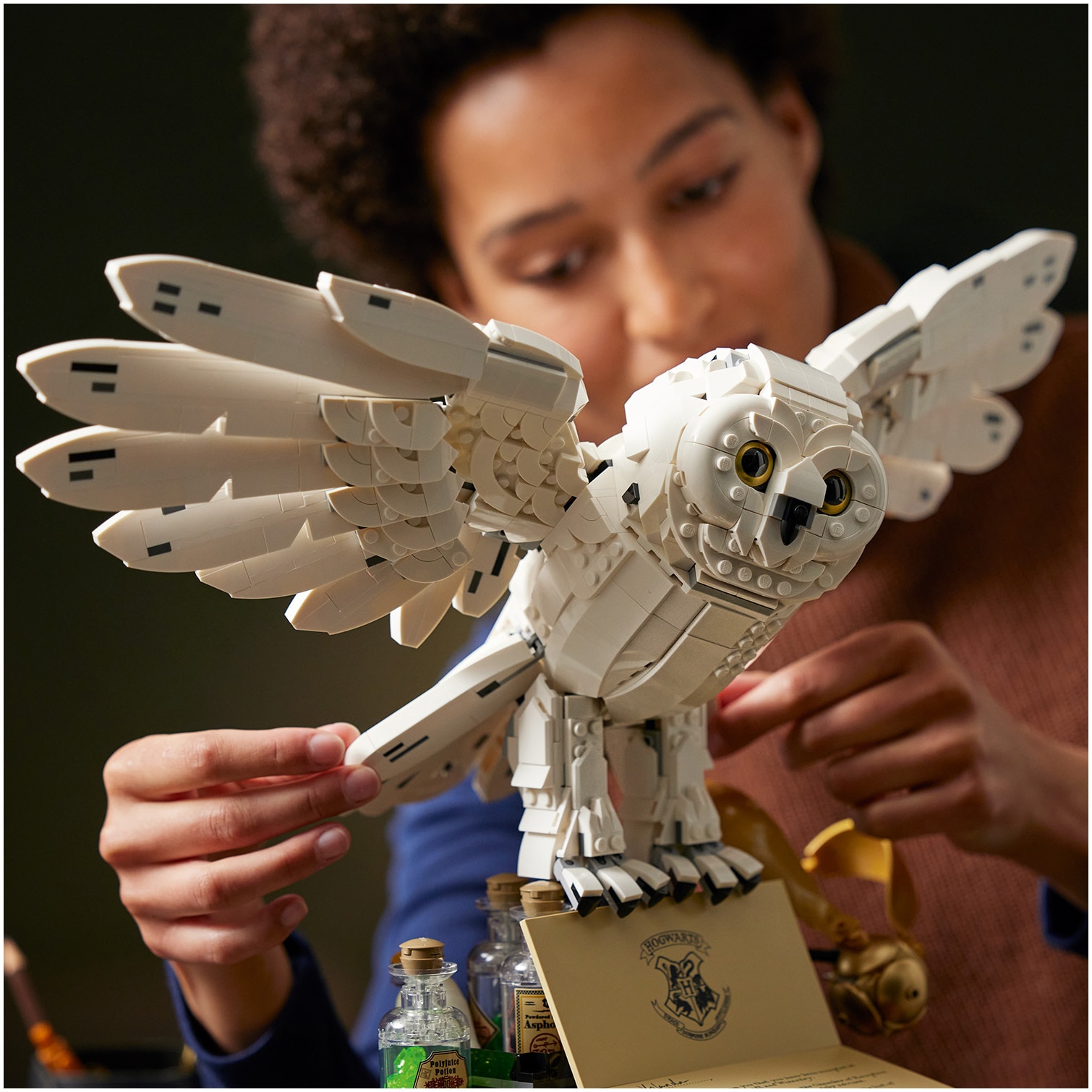 LEGO® Harry Potter - Embleme Hogwarts™ - Editie de colectie 76391