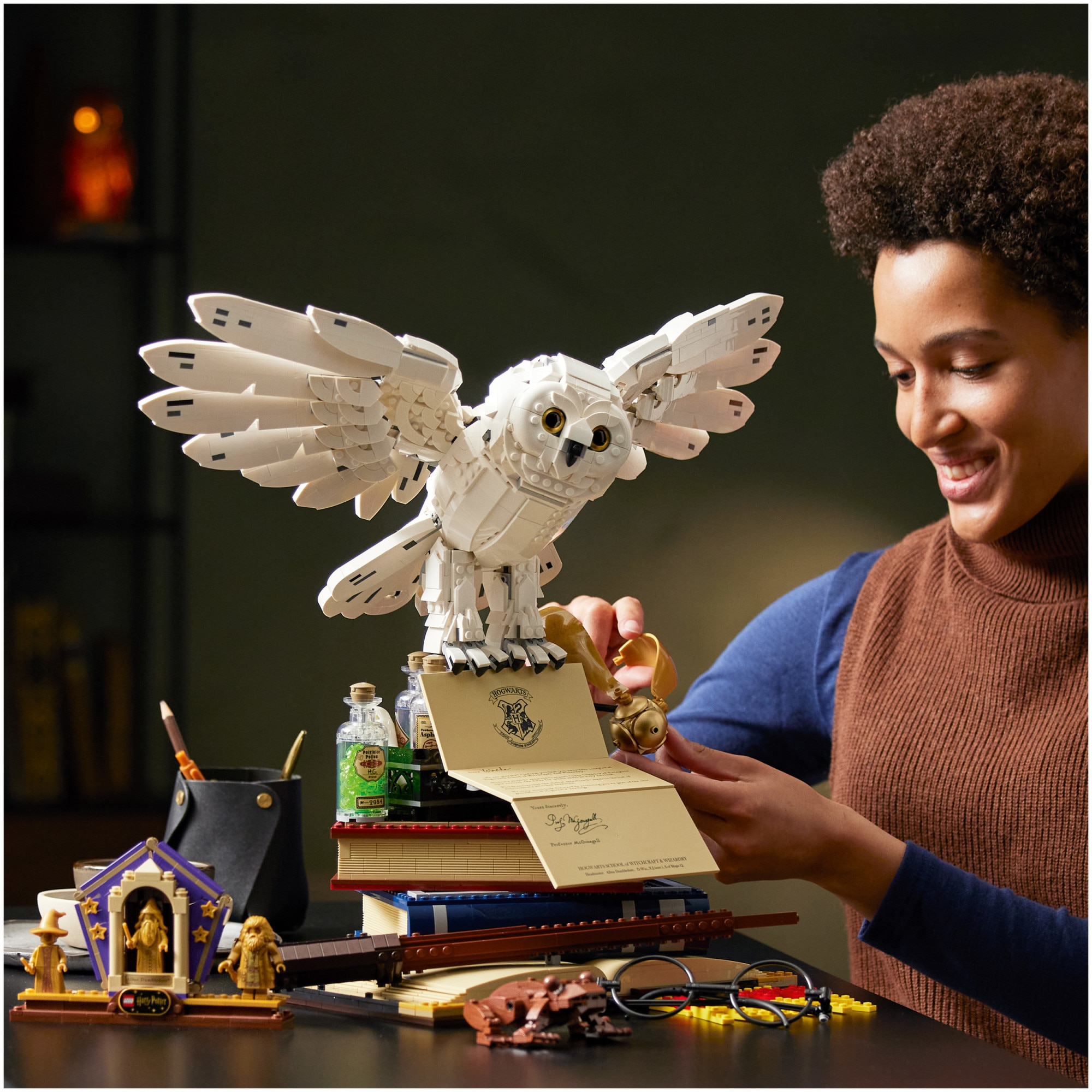 LEGO® Harry Potter - Embleme Hogwarts™ - Editie de colectie 76391
