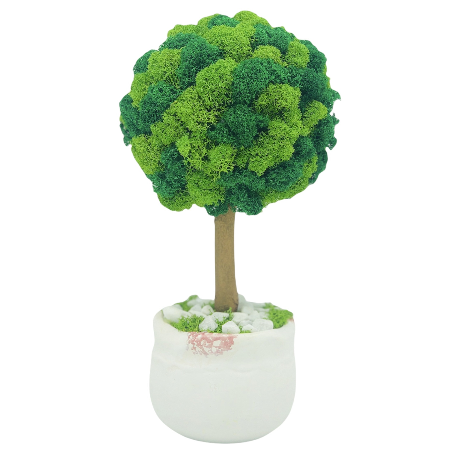 Aranjament floral tip Copacel / Pomisor cu licheni naturali stabilizati si plante naturale criogenate si uscate, Eventissimi, Verde, 28 cm, vaza ceramica, personalizabil