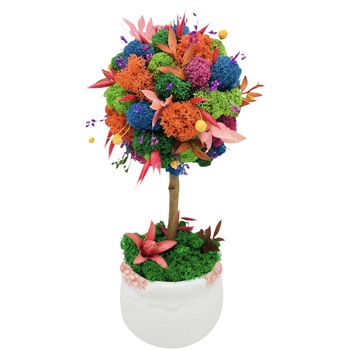 Aranjament floral tip Copacel / Pomisor cu licheni naturali stabilizati si plante naturale criogenate si uscate, Eventissimi, Multicolor, 27 cm, vaza ceramica, personalizabil Aranjament floral tip Copacel / Pomisor cu licheni naturali stabilizati si plante naturale criogenate si uscate, Eventissimi, Multicolor, 27 cm, vaza ceramica, personalizabil