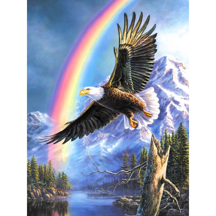 Kit pictura cu diamante rotunde, Model vultur,30 x 40 cm, Multicolor
