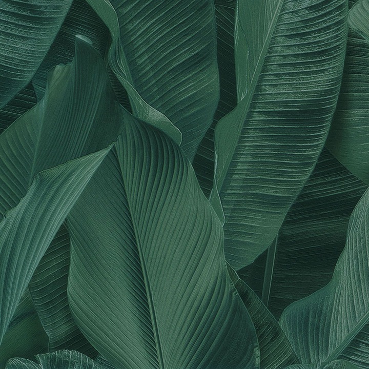 Tapet tropical model frunze de palmier culoare verde 17813 Lymphae 10.05 x 0.53 / 5.3mp