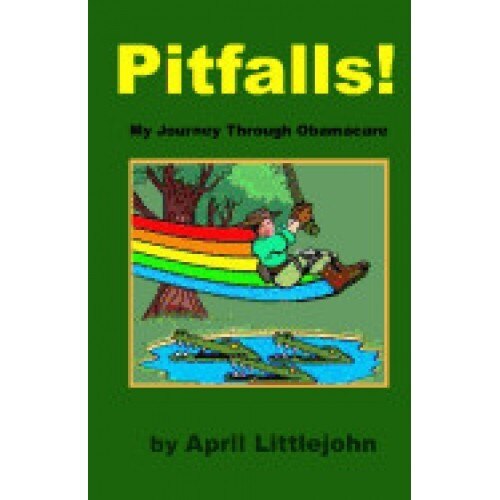 Pitfalls: My Journey Through Obamacare