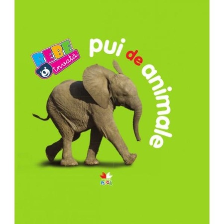 Bebe Invata Pui De Animale Emag Ro