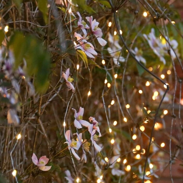 Instalatie Craciun Tip Turturi, IP44, 35 m, 1001 Led-uri, Alb cald, 8 jocuri de lumini, 31 V, Telecomanda inclusa, Interconectabila, Prelungitor 3 m inclus, Fir Cupru, Southern Sky, Interior/Exterior