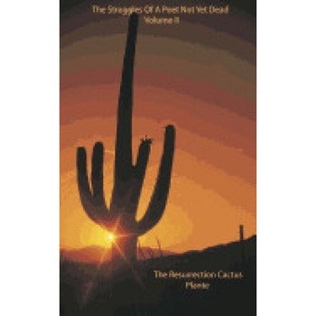 The Resurrection Cactus The Resurrection Cactus