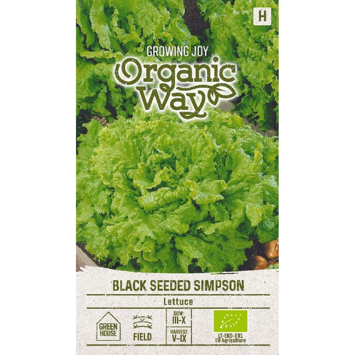 Seminte ecologice, Salata Black Seeded Simpson, Organic Way, plic, 1 gram