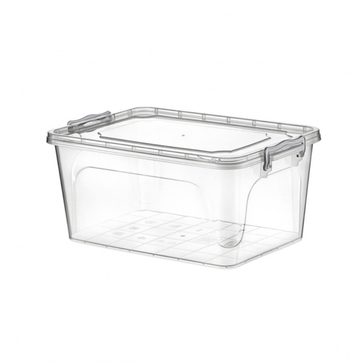 Cutie alimentara, Plastic, Transparent, 1.5 L