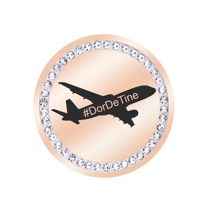 Martisor Brosa Inox Banut Pietre Avion Dor Rose Gold