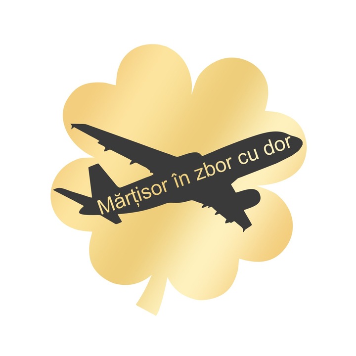 Martisor Brosa Inox Trifoi Auriu Avion in Zbor cu Dor