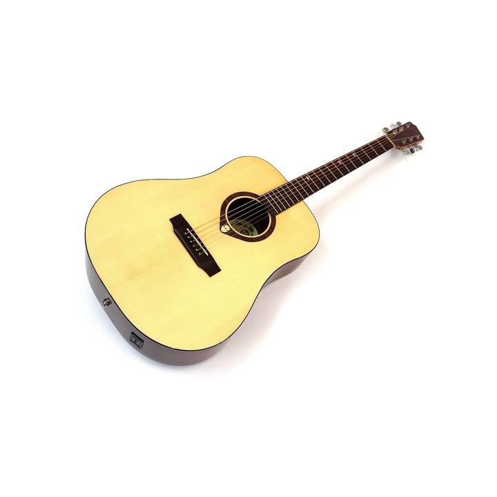 Chitara acustica Regal 10 E Dreadnought