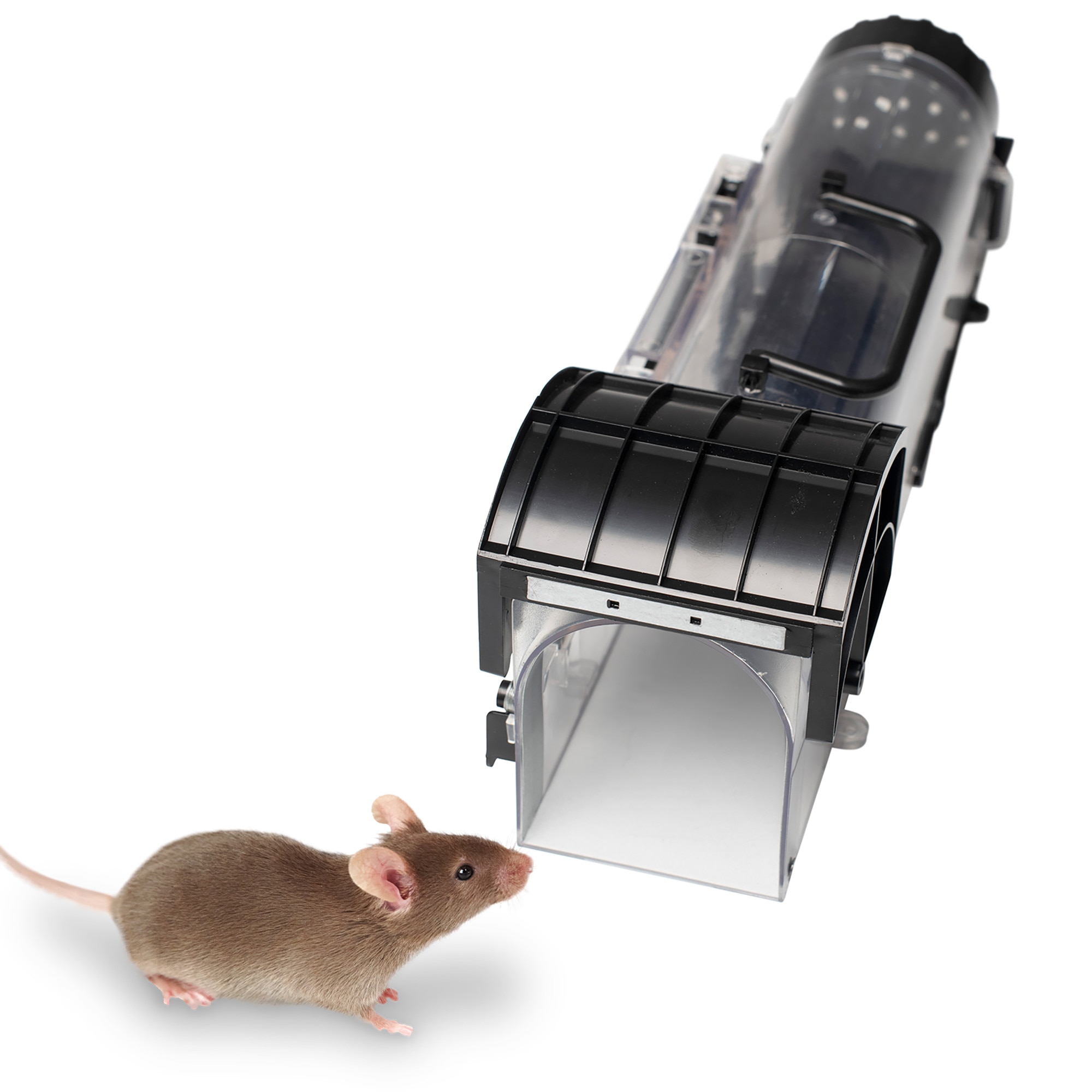 capcană pentru șobolani aluniță elvețiană anti-îmbătrânire folosind anti-imbatranire pe pielea tanara