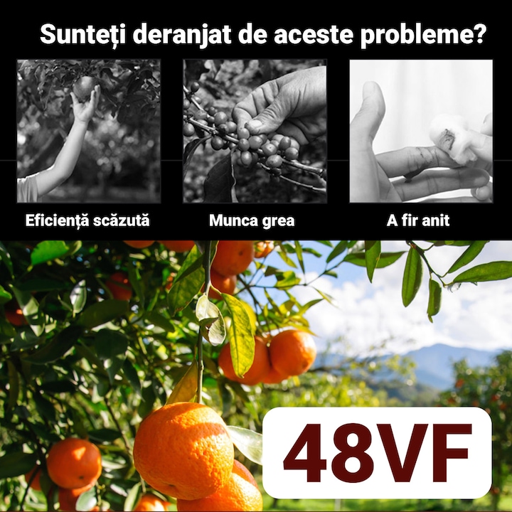 Detalii despre designul ergonomic al foarfecii de tuns.