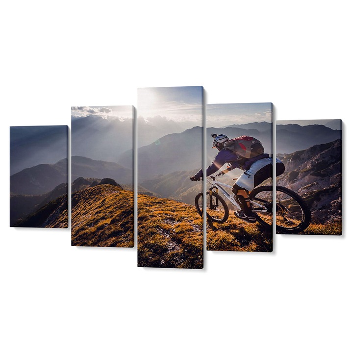 Комплект от 5 Tabouri premium multicanvas decor, Mountain biker, in the light, 105 x 200 cm