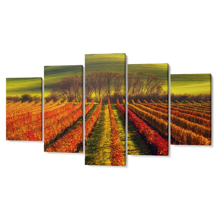 Комплект Tablouri Decor от 5 картини, 105 x 200 cm