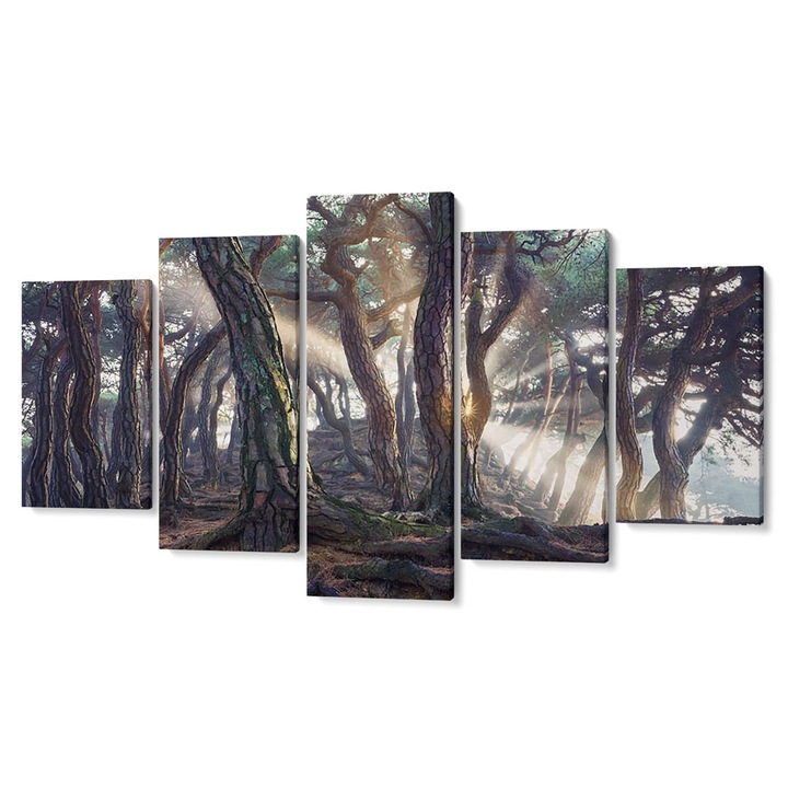 Комплект от 5 Tabouri premium multicanvas декор, Светлина сред дърветата, 55 x 100 см