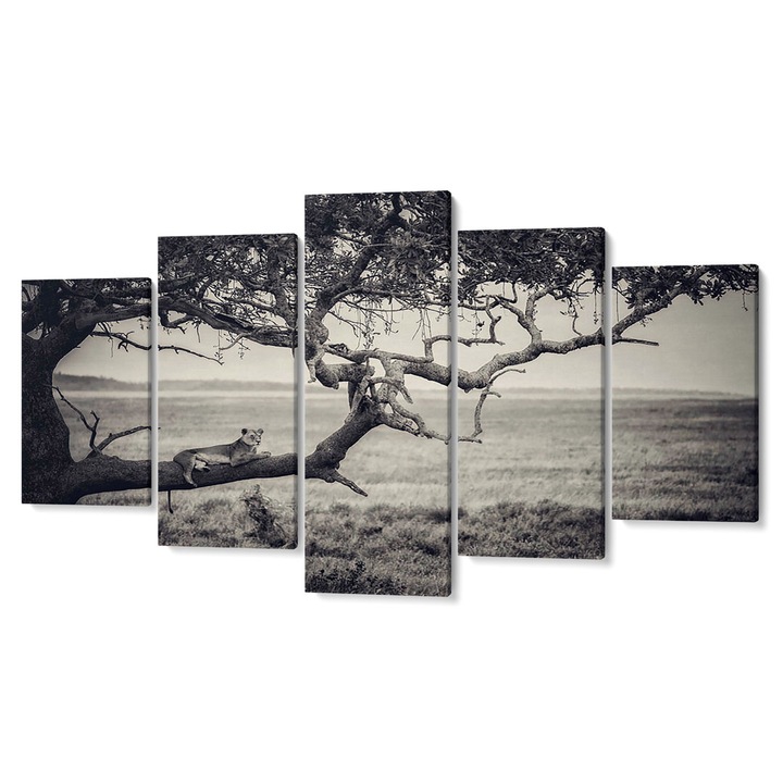 Комплект от 5 Tabouri premium multicanvas декор, Puma в сухо дърво, 55 x 100 cm