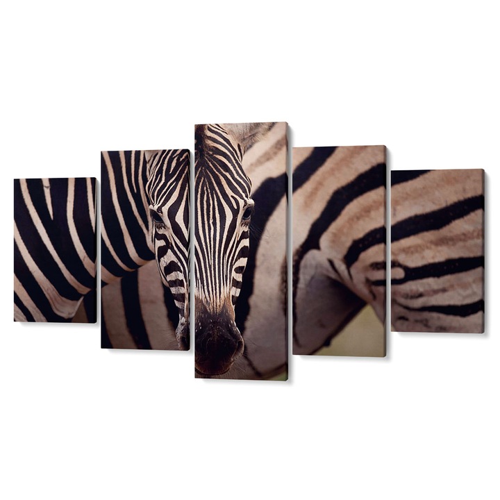 Комплект от 5 Tabouri Premium multicanvas декор, детайл Зебра, 55 x 100 см