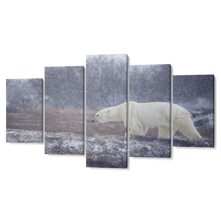 Комплект от 5 Tabouri premium multicanvas декор, Бяла мечка, 55 x 100 см