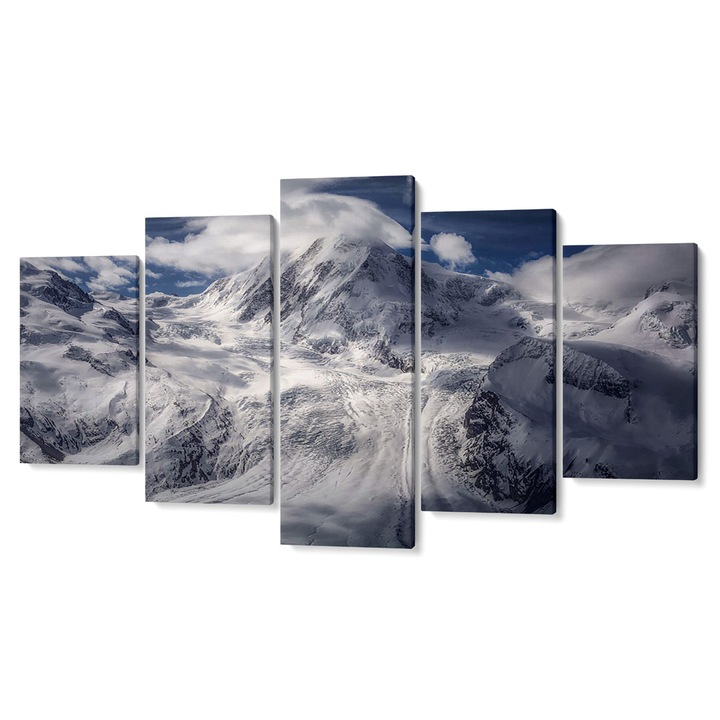 Комплект от 5 части Tabouri Premium multicanvas decor, Планина покрита със сняг, 105 x 200 см