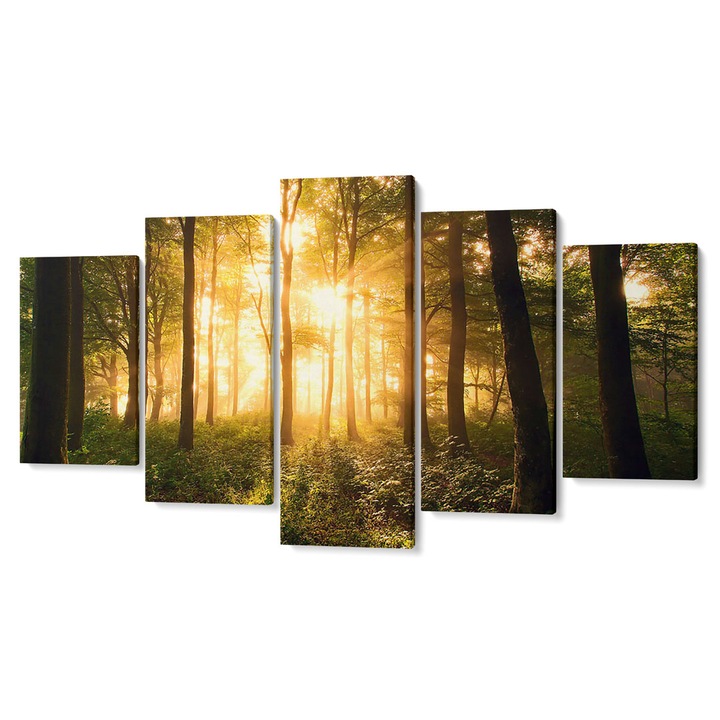 Комплект от 5 Tabouri premium multicanvas декор, Светлината сред дърветата в гората, 80 x 150 см
