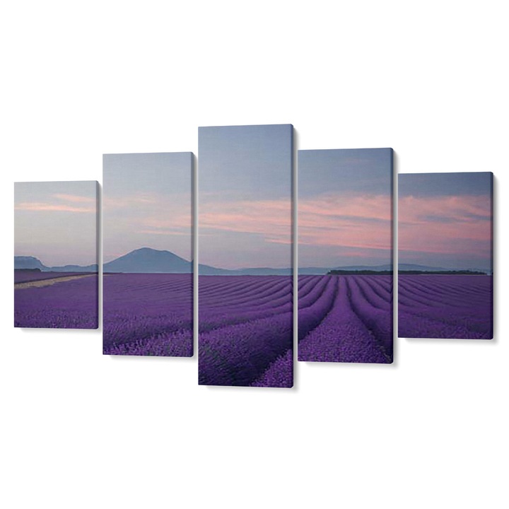 Set 5 piese Tabouri Decor multicanvas premium, Campuri mov de lavanda, 105 x 200 cm