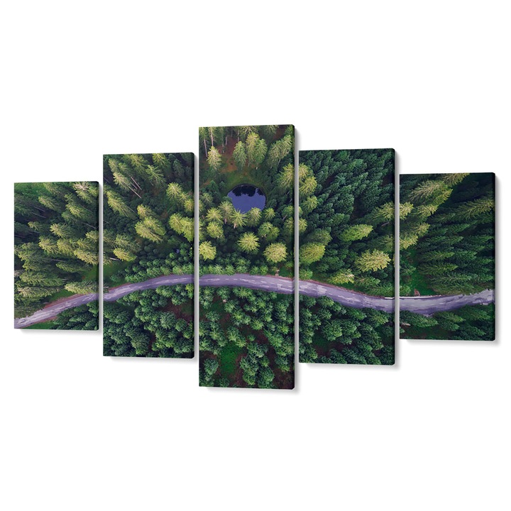 Комплект от 5 Tabouri premium multicanvas декор, Път сред елхите, погледнат отгоре, 105 x 200 см