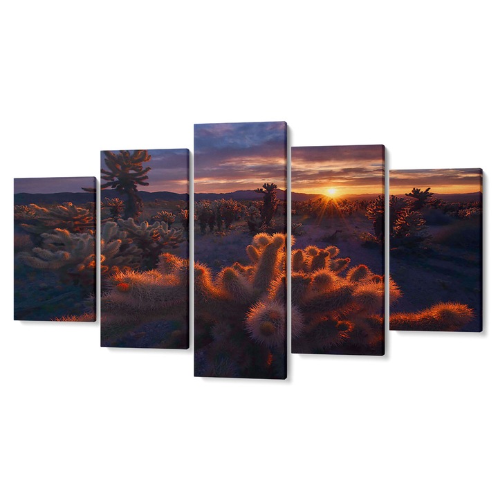 Többrészes prémium vászon dekorkép, Kaktusz naplementekor, 105 x 200 cm