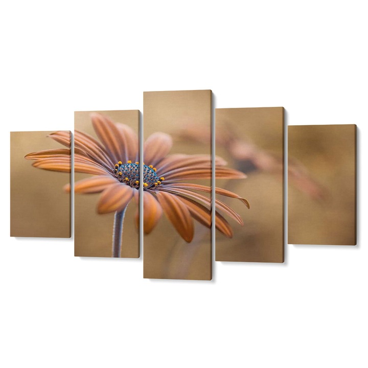 Többrészes prémium vászon dekorkép, Sárga Gerbera, 105 x 200 cm