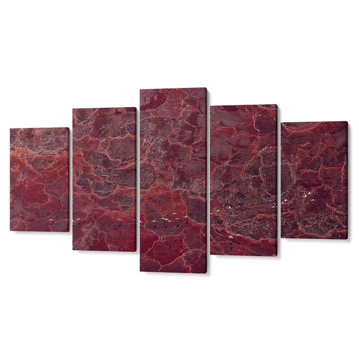 Комплект от 5 Tabouri premium multicanvas декор, Птици в полет, изглед отгоре, 80 x 150 cm