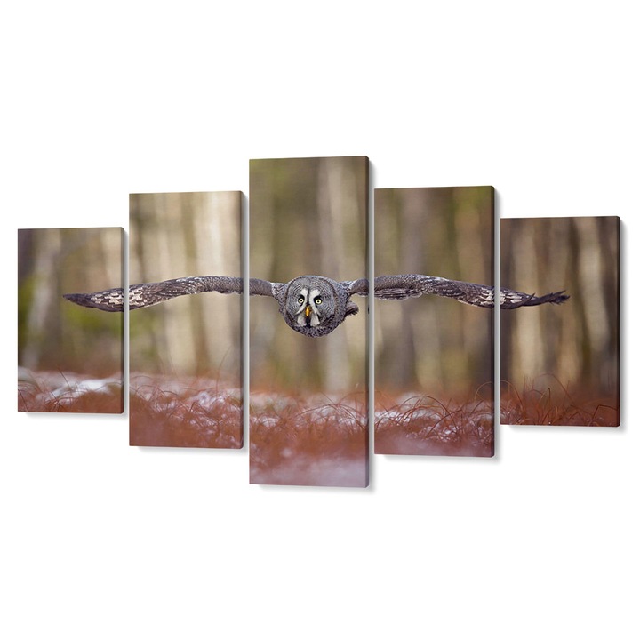 Комплект от 5 Tabouri premium multicanvas декор, Бухал в полет III, 80 x 150 cm