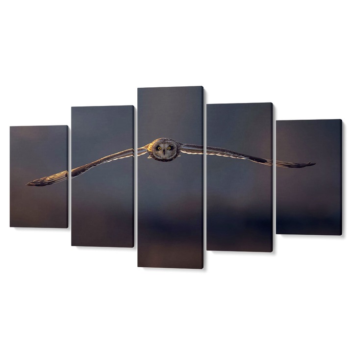 Комплект от 5 Tabouri premium multicanvas декор, Бухал в полет I, 80 x 150 cm