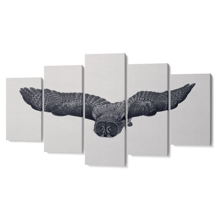 Комплект от 5 Tabouri premium multicanvas декор, Бухал в полет II, 80 x 150 cm