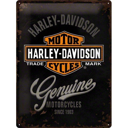 Tablou metalic - Harley Davidson Genuine Logo - 30x40 cm