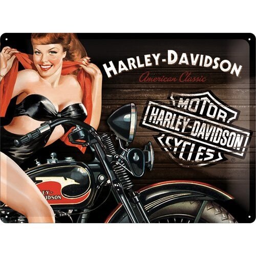 Tablou metalic - Harley Davidson Biker Babe Red - 30x40 cm