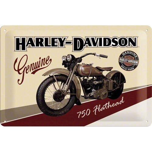 Tablou metalic - Harley Davidson Genuine 750 - 20x30 cm