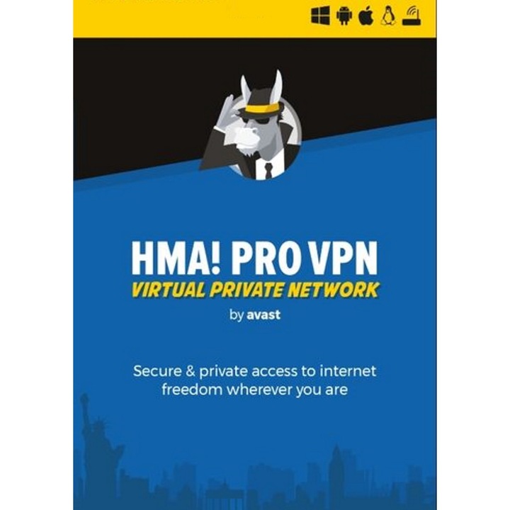 Antivirus Avast HMA! Pro VPN Unlimited Devices 2 Ani Licenta Electronica