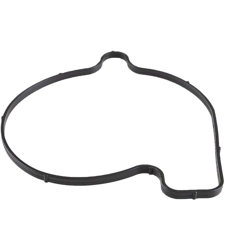 Garnitura capac pompa apa ATV Can-am BRP G1 si G2, Outlander-Renegade 420651190