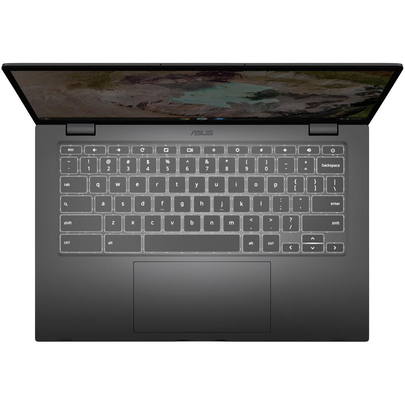 Laptop ultraportabil ASUS Chromebook C425TA cu procesor Intel