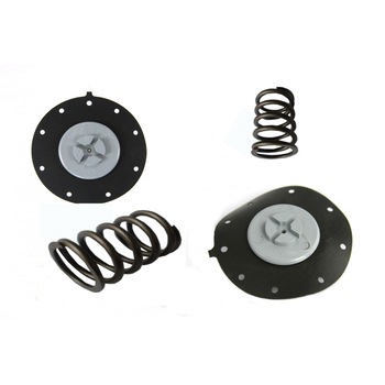 Kit arc si membrana pentru electrovana Richdel 1 Kit arc si membrana pentru electrovana Richdel 1