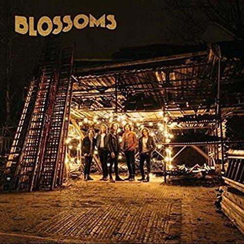 Blossoms-Blossoms-LP