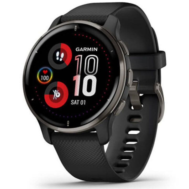 Smartwatch Garmin Venu 2 Plus, Black/Slate