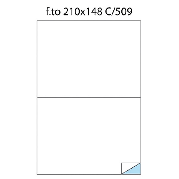 Etichete 2/A4 210x148 100/cutie